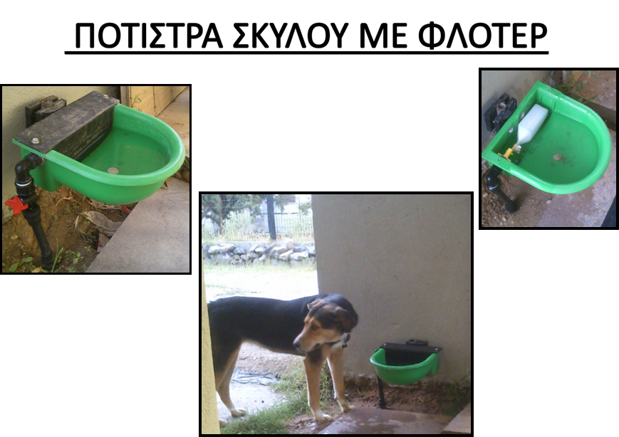 potistra skulou, ποτίστρα σκύλου, ποτίστρα γενικής χρήσης